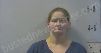 WOLFE, RACHEL SHERRY LYNN | 2025-05-06 20:56:00 Pulaski County, Indiana Booking