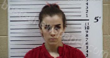 BRYSON, EMMALYN CHLOE | 2025-05-06 16:54:00 Cherokee County, North Carolina Booking