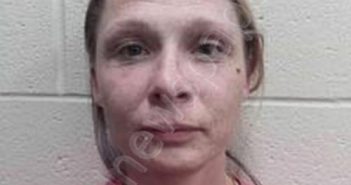 STORMIE BRINER-STARK | 2025-05-06 22:00:00 Andrew County, Missouri Booking