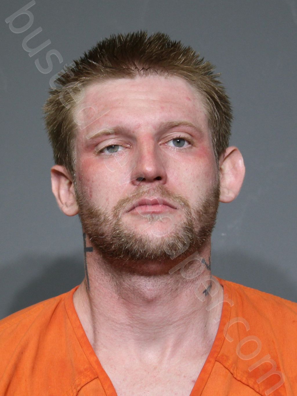 DICKSON JR, STEVEN COLLIE #, York County, South Carolina - 2025-05-06 00:07:50