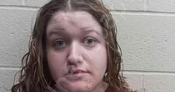 JOEY ANGELINA SIMPKINS | 2025-05-06 22:15:00 Andrew County, Missouri Booking