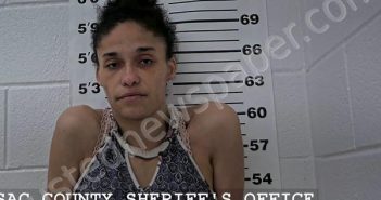 STEINKE, GABRIELLE MARIE | 2025-05-07 06:40:02 Massac County, Illinois Booking