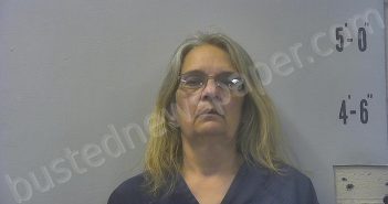 MILLER, CRYSTAL ANN | 2025-05-07 15:41:00 Pulaski County, Indiana Booking