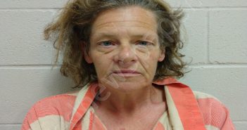 ANDERSON, MICHELLE NICOLE | 2025-05-07 14:28:00 Brown County, Texas Booking