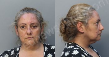 ONIEVA, IDANIA DIAZ | 2025-05-07 21:55:00 Miami-Dade County, Florida Booking