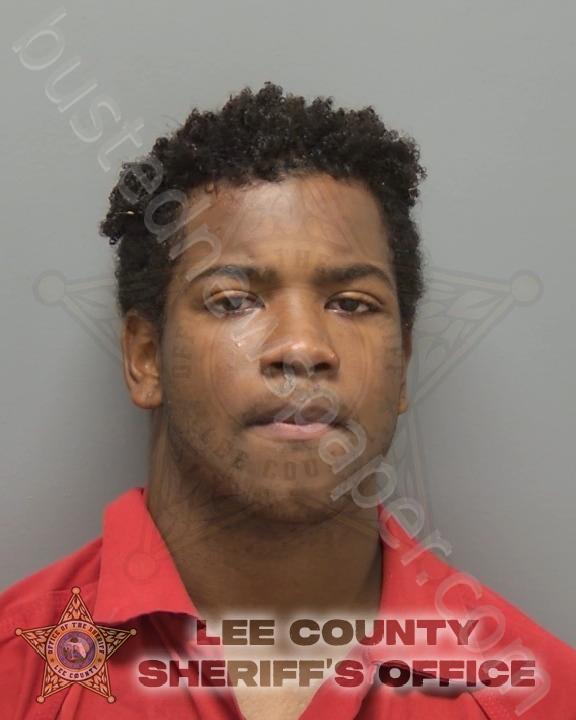 MILLER, KENNETH WAYNE, III #, Lee County, Florida - 2025-05-08 03:38:00