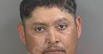 <B>MADRIGALHERNANDEZ</B>,<B>COSME</B> <B>DAMIAN</B> #, Collier County, Florida - 2025-05-08