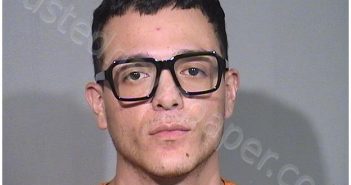 SALGUERO-<B>CASTILLO</B>, <B>MARIO</B> M #, Mchenry County, Illinois, McHenry County, Illinois - 2025-05-08 14:30:00