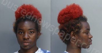 MURHCISON, TIYANNA M | 2025-05-08 03:05:00 Miami-Dade County, Florida Booking