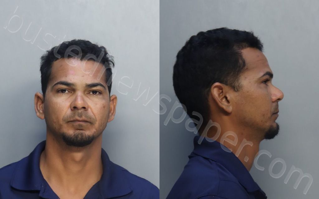 VAILLENARONDON, ARGENIS DEJESUS #, Miami-Dade County, Florida - 2025-05-08 01:21:00