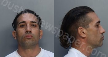 BERLANGA, LEYNIER | 2025-05-08 00:14:00 Miami-Dade County, Florida Booking