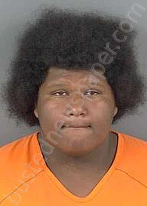 JOYNER,KAZMIR LA BRACCIO #, Collier County, Florida - 2025-05-08