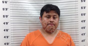 LOPEZ-MARTIN, EDVIN RODERICO | 2025-05-08 14:24:00 Pickens County, Georgia Booking