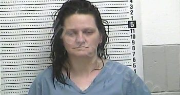 REID, TIFFANY D | 2025-05-08 23:09:00 Casey County, Kentucky Booking