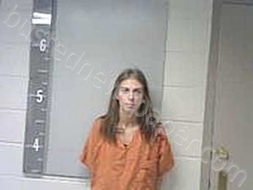BOMAN, ALLYSON #, Marshall County, Alabama - 2025-05-08 19:35:00