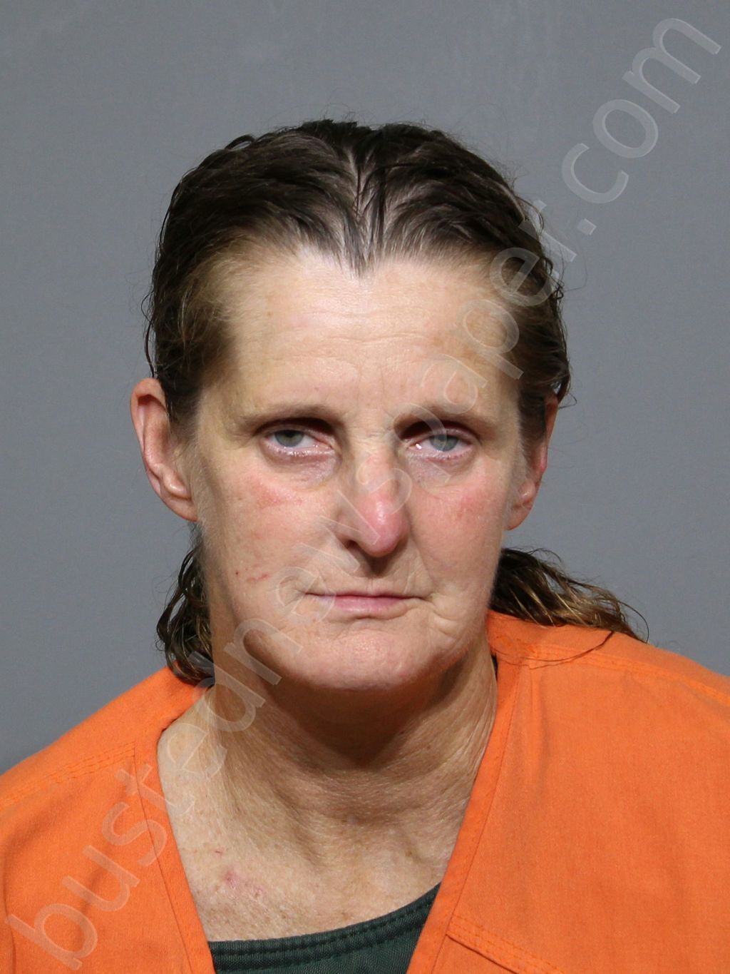 PEARSON, TRACY LYNN #, York County, South Carolina - 2025-05-08 00:39:29