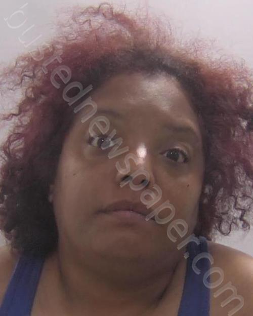SANCHEZ, ARLENE LANZO #, Chesapeake, Virginia - 2025-05-08 19:30:00