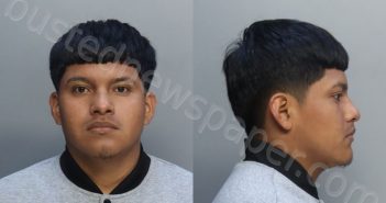 SEBASTIANMATEO, MIGUEL ANGEL | 2025-05-08 01:54:00 Miami-Dade County, Florida Booking