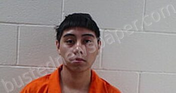 SALAS ARVIN YAHIR | 2025-05-08 Cameron County, Texas Booking
