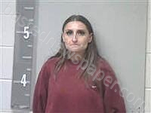 HOWARD, TORI #, Marshall County, Alabama - 2025-05-08 19:23:00