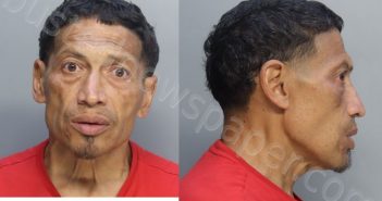 MALAVE, SAMUEL ELLIOT | 2025-05-09 16:52:00 Miami-Dade County, Florida Booking