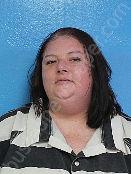 HINKLE, JESSICA MEAGAN #, Sullivan County, Tennessee - 2025-05-09 23:18:34