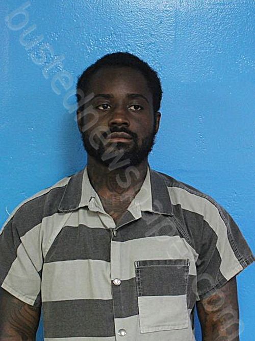 GOODE, DAWAN DEANTE #, Sullivan County, Tennessee - 2025-05-09 20:48:00