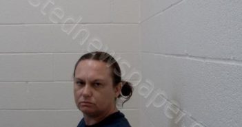 TIMMONS, STACY DAWN | 2025-05-09 17:27:00 Washington County, Illinois Booking
