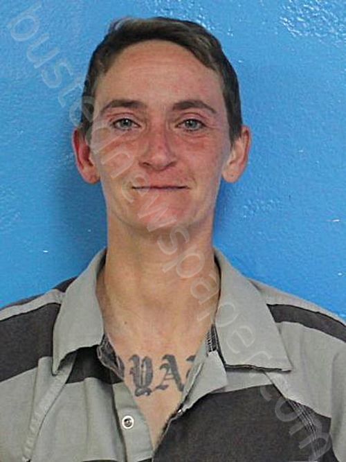 CARTER, WHITNEY LORAINE #, Sullivan County, Tennessee - 2025-05-10 02:17:00