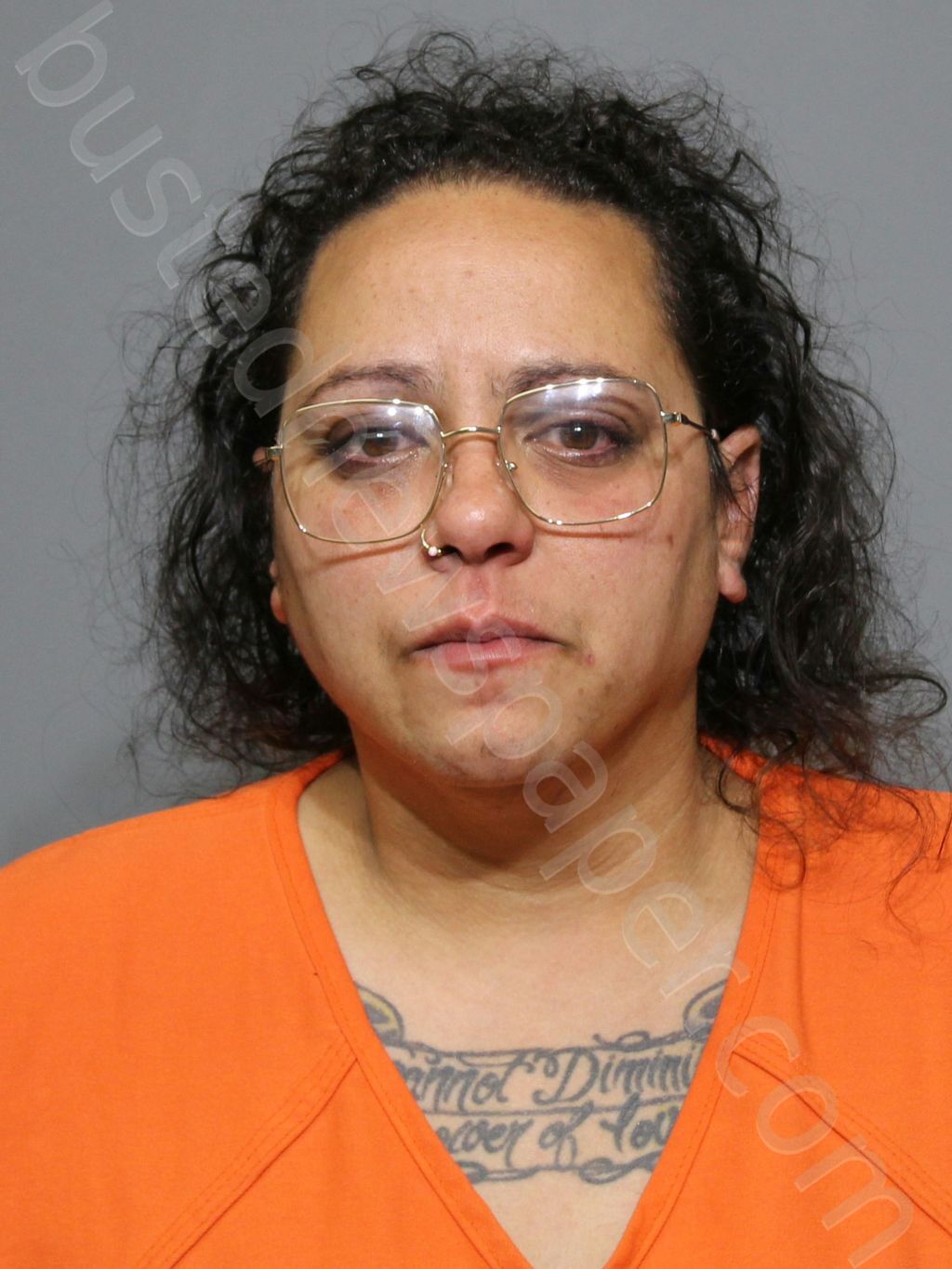 SANCHEZ, PRISCILLA ANITA #, York County, South Carolina - 2025-05-10 06:29:55