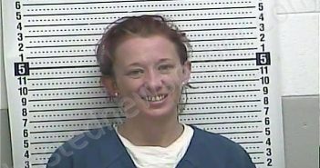 PENDERGRAFT, MEAGAN R | 2025-05-10 11:30:00 Casey County, Kentucky Booking