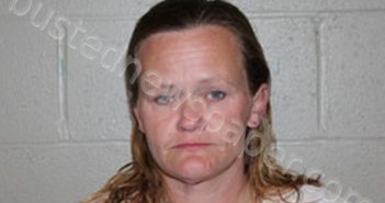 SARAH MARIE LAWSON | 2025-05-10 15:55:00 Benton County, Missouri Booking