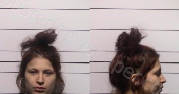 GUERRERO, MARIANNA RICARTE | 2025-05-10 Gillespie County, Texas Booking