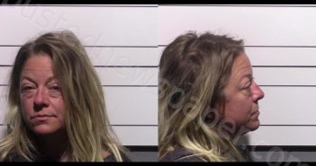YOUNGBLOOD, ANGELA JAYNE | 2025-05-11 Gillespie County, Texas Booking