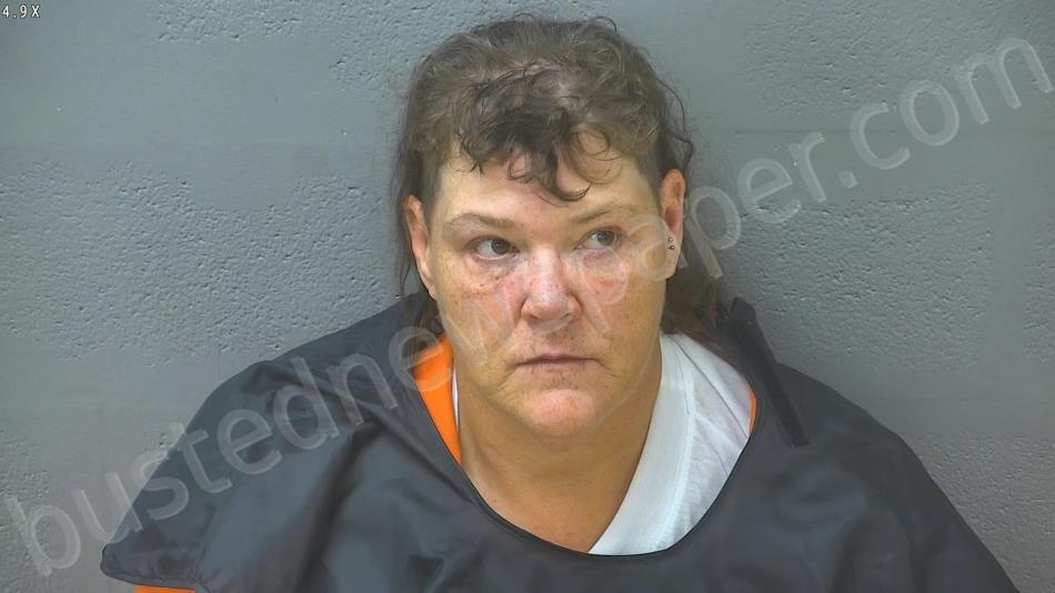 BREVO, JENNIE DARLENE #, Lynchburg, Virginia - 2025-05-11 16:39:00