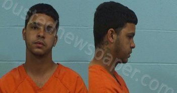 COLON, LUIS GERALDO | 2025-05-11 Williamson County, Texas Booking