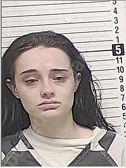 LENWELL, HAILEY, MARIE #, Bay County, Florida - 2025-05-11 00:20:00