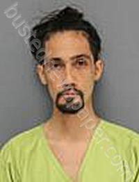QUINONES, ALBERTO MARIO MEDINO #, Medina County, Ohio - 2025-05-11
