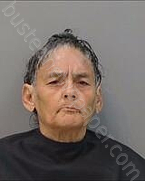 ARREOSOLA, SANDRA #, Tom Green County, Texas - 2025-05-11 15:34:00