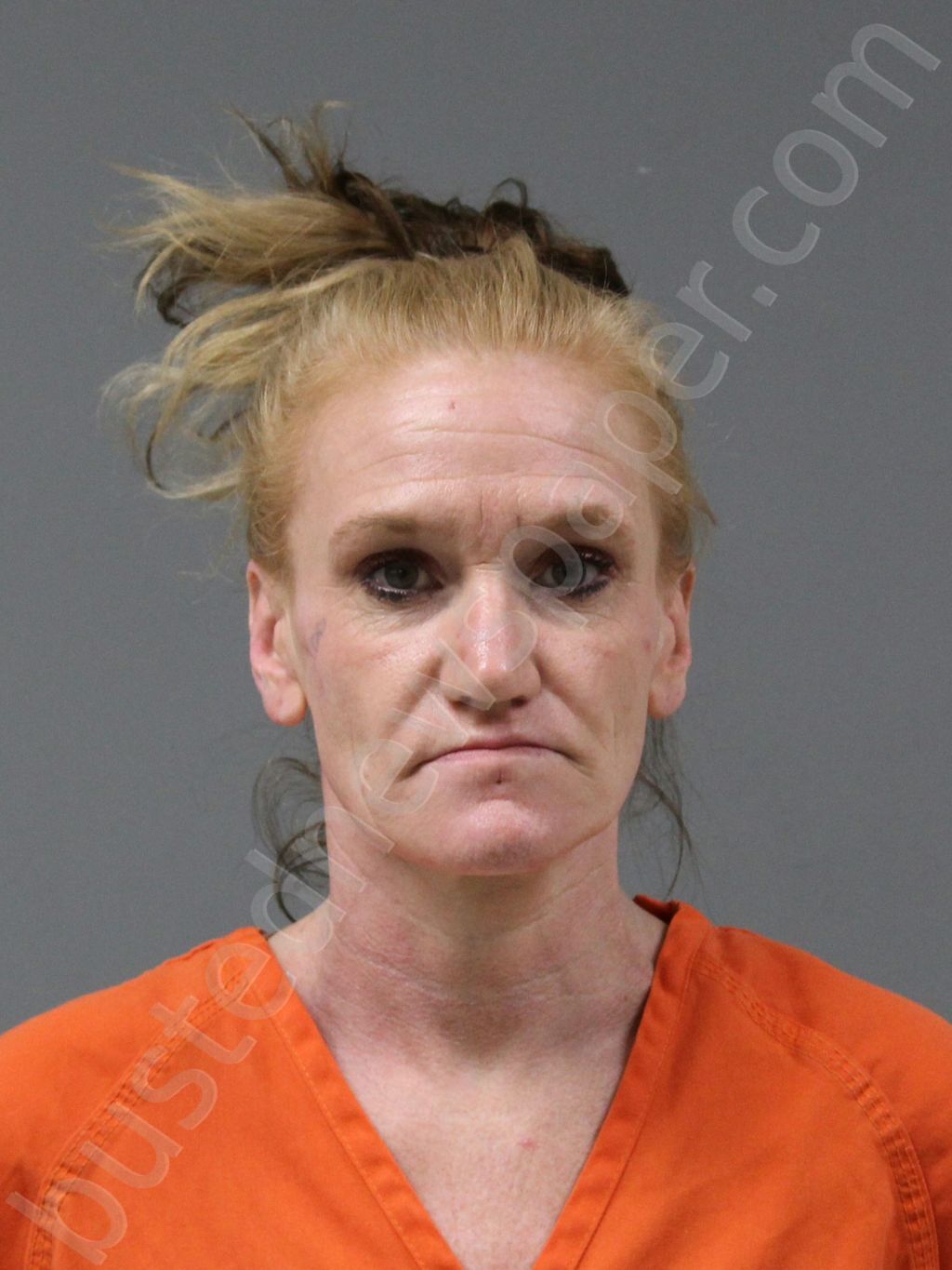 SUTTON, RITA NICOLE #, York County, South Carolina - 2025-05-11 06:20:08