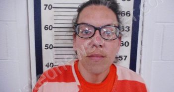 HETLAND, CAGNEY RENEE | 2025-05-12 16:08:00 Big Horn County, Wyoming Booking