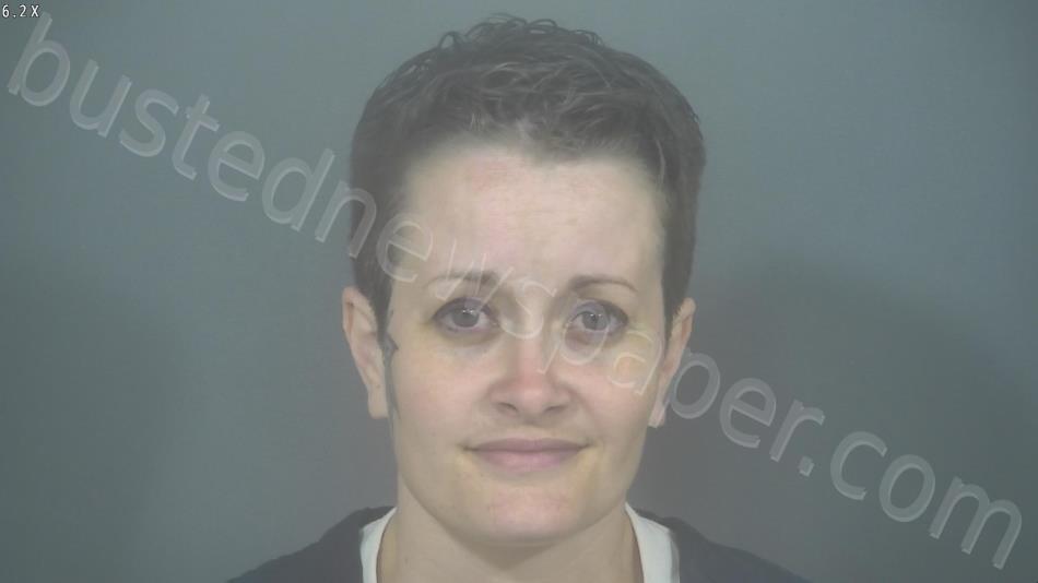 DAVIS, ASHLEY MICHEL #, St. Joseph County, Indiana - 2025-05-12 14:28:00