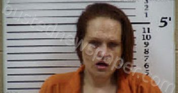LEMON, LINDSEY ANN | 2025-05-13 11:16:00 Cherokee County, North Carolina Booking