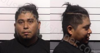 RODRIGUEZ-ORTEGA, AGUSTIN | 2025-05-13 Gillespie County, Texas Booking