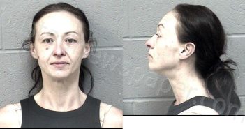 HAZEN, LETA JOLENE | 2025-05-13 13:04:00 Crawford County, Kansas Booking