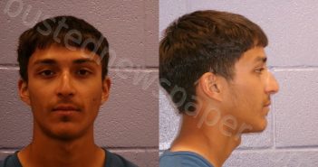 PEREGRINO, DAMIAN PINEDA | 2025-05-13 Andrews County, Texas Booking