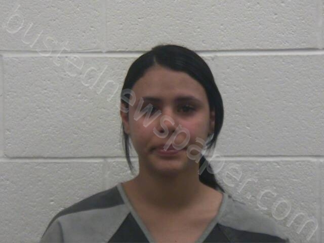 GONZALEZ REYES, JACKSELIN GOBRIELY #, Loudon County, Tennessee - 2025-05-14 19:23:00