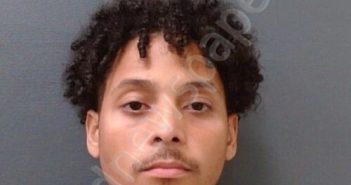 <B>MARTE</B> MENDEZ, <B>JOSE</B> FEDERICO #, Comal County, Texas - 2025-05-14