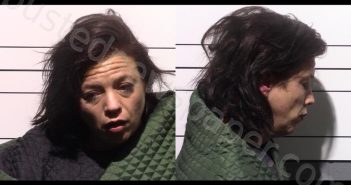 HOLMES, MERRIT ALEIS | 2025-05-14 Gillespie County, Texas Booking