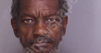 WIGGINS, ROSALYN LYNN | 2025-05-14 13:06:00 Florence County, South Carolina Booking